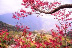 Viaje de primavera a comienzos de año – Destinos imperdibles