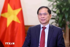 El viceprimer ministro y canciller vietnamita, Bui Thanh Son. (Fuente: VNA)