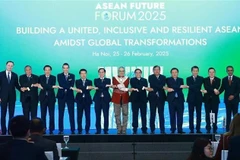 El primer ministro Pham Minh Chinh (sexto, a la derecha) y los jefes de las delegaciones que asisten al Foro del Futuro de la ASEAN 2025 posan para una foto grupal. (Foto: VNA)