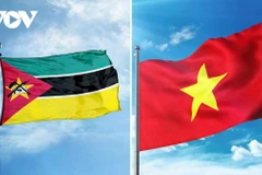 Promueven la amistad multifacética entre Vietnam y Mozambique