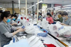 Producción de calzado para exportación a la Unión Europea en la empresa de calzado Truong Xuan de Hanoi. (Foto: VNA)
