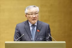 El viceprimer ministro permanente Nguyen Hoa Binh interviene en la reunión. (Fuente: VNA)