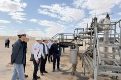 La delegación del Grupo Nacional de Industria y Energía de Vietnam visita el área de cabeza de pozo BSR-25, el principal pozo de explotación del proyecto petrolero Bir Seba (Foto: petrotimes.vn)