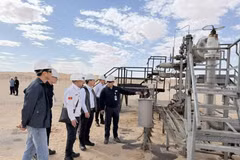 La delegación del Grupo Nacional de Industria y Energía de Vietnam visita el área de cabeza de pozo BSR-25, el principal pozo de explotación del proyecto petrolero Bir Seba (Foto: petrotimes.vn)