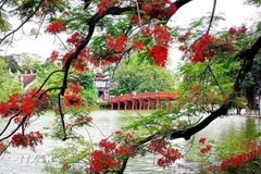 Un rincón del lago Hoan Kiem, Hanoi. (Foto: VNA)