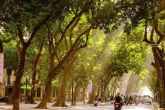 Otoño – El encanto característico de Hanoi