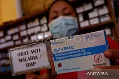 Medicamentos para el tratamiento de la malaria (Foto: Antara)