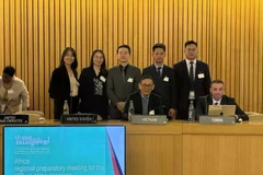 La delegación vietnamita asiste a la Reunión Preparatoria Regional Africana para el 15.º Congreso de las Naciones Unidas sobre Prevención del Delito y Justicia Penal. (Foto: VNA)
