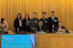 La delegación vietnamita asiste a la Reunión Preparatoria Regional Africana para el 15.º Congreso de las Naciones Unidas sobre Prevención del Delito y Justicia Penal. (Foto: VNA)