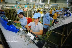Fabricación de componentes eléctricos y electrónicos en Minda Vietnam Automotive Co., Ltd, una empresa con inversión india ubicada en la provincia de Phu Tho. (Foto de archivo: VNA)