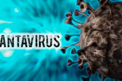 El hantavirus es un grupo peligroso de virus que pueden causar enfermedades graves en los seres humanos. (Imagen ilustrativa de tienphong.vn)