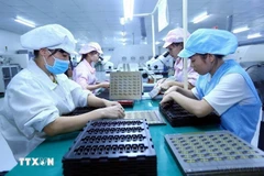Trabajadoras en la línea de ensamblaje de componentes electrónicos en la fábrica de Bao Sen (Bac Giang). (Fuente: VNA)