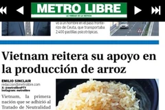 Artículo publicado por Metro Libre (Foto: captura de pantalla)
