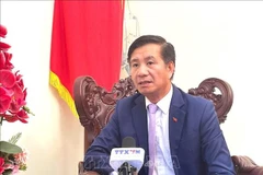 El embajador vietnamita en Malasia, Dinh Ngoc Linh. (Fuente: VNA) 