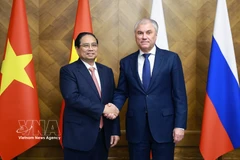 El primer ministro vietnamita, Pham Minh Chinh (izquierda), se reúne con el presidente de la Duma Estatal rusa, Vyacheslav Volodin, en Moscú el 24 de marzo. (Foto: VNA)