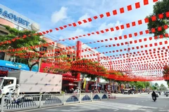 Un tramo de la calle Nguyen Hue, en el barrio de Cao Lanh, provincia de Dong Thap, decorado para celebrar el XIV Congreso Nacional del Partido. (Foto: dongthap.gov.vn)