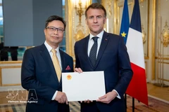 El embajador vietnamita Trinh Duc Hai (izquierda) presenta sus credenciales al presidente francés Emmanuel Macron. (Foto: VNA)