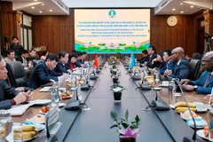Foto 1: Reunión entre el ministro de Agricultura y Desarrollo Rural, Le Minh Hoan, y una delegación de alto nivel de la FAO (Foto cortesía de la Cartera)