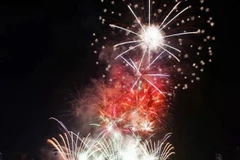 Actuación del equipo de Da Nang en el Festival Internacional de Fuegos Artificiales de Da Nang (DIFF) de 2024. (Foto: VNA)