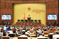 En el primer periodo extraordinario de sesiones de la XVI Legislatura de la Asamblea Nacional de Vietnam. (Fuente: VNA)