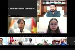 Participantes en el seminario en línea (Foto de captura de pantalla: VNA)
