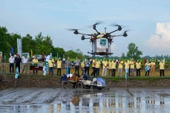 Día de la Ciencia y la Tecnología de Vietnam: un tributo al ingenio