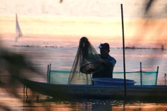 Abundante cosecha de pesca en Can Tho debido a inundaciones