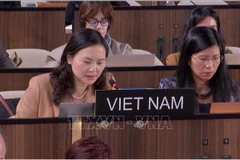 La embajadora Nguyen Thi Van Anh, Jefa de la Delegación Permanente de Vietnam ante la UNESCO, pronunció un discurso para presentar la iniciativa en la 222.ª sesión del Consejo Ejecutivo de la UNESCO. Foto: VNA