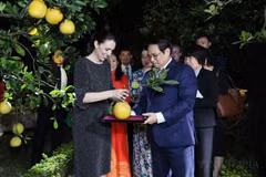Impulsan relaciones entre Vietnam y Nueva Zelanda hacia nuevas alturas