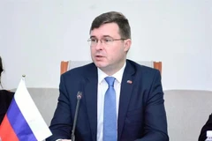 El viceministro de Educación de la Federación de Rusia, Andrey Korneev, en la reunión (Foto: Vietnam+)
