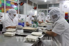 Trabajadores elaboran rollitos de primavera fritos en la empresa alimentaria Kim Ngoc, en el distrito de Tan An, provincia de Tay Ninh. (Foto: VNA)