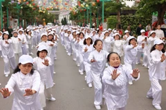Vietnam entró oficialmente en la fase de envejecimiento poblacional en 2011. (Foto: Vietnam+)