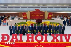 El embajador Trinh Duc Hai (tercero desde la derecha) y otros delegados asistentes al XIV Congreso Nacional del Partido (Foto: VNA)