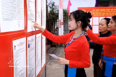 Los votantes de la minoría étnica Muong, que votan por primera vez, estudian detenidamente las biografías de sus candidatos. (Foto: VNA)