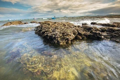 El hermoso ecosistema coralino natural de Hon Yen, provincia de Phu Yen. (Foto: VNA)