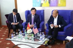 El viceministro de Defensa, teniente general Hoang Xuan Chien (centro), se reúne con el subsecretario general del Ministerio de Defensa de Malasia, Mohd Yani Bin Daud (derecha). (Foto: VNA)