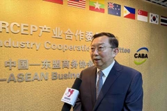 El presidente del Comité de Cooperación Industrial en el marco del Acuerdo de Asociación Económica Integral Regional (RCEP) y director ejecutivo del Consejo Empresarial China-ASEAN, Xu Ningning. (Fuente: VNA)