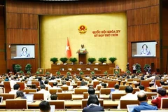 Legisladores en la segunda fase del noveno período de sesiones de la Asamblea Nacional de Vietnam de la XV Legislatura. (Foto: VNA)