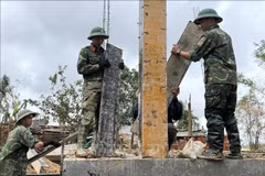 Los soldados de la 315.ª División (Región Militar 5) ayudan a construir y reparar casas dañadas por el tifón número 13 y las inundaciones de noviembre. (Foto: VNA)
