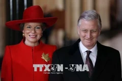 El rey Felipe y su esposa Matilde de Bélgica. (Foto de archivo: AFP/VNA)