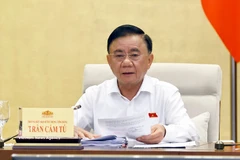 El miembro del Buró Político y miembro permanente del Secretariado del Comité Central del Partido Comunista de Vietnam (PCV), Tran Cam Tu. (Fuente: VNA)