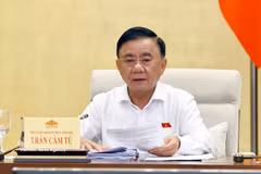 El miembro del Buró Político y miembro permanente del Secretariado del Comité Central del Partido Comunista de Vietnam (PCV), Tran Cam Tu. (Fuente: VNA)