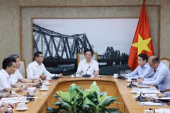 El viceprimer ministro Ho Quoc Dung presidió la reunión (Foto: VNA)