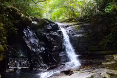 Impresionante belleza del sistema de arroyos y cascadas de Bach Ma en ciudad de Hue