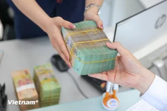 Foto de ilustración (Fuente: Vietnam+)