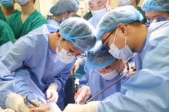 Los médicos realizaron una demostración quirúrgica en vivo. (Fuente: VNA)