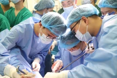 Los médicos realizaron una demostración quirúrgica en vivo. (Fuente: VNA)