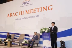 El presidente Luong Cuong interviene en la tercera reunión del Consejo Asesor Empresarial de la APEC. (Foto: VNA)