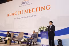 El presidente Luong Cuong interviene en la tercera reunión del Consejo Asesor Empresarial de la APEC. (Foto: VNA)