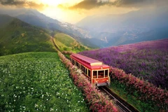 Fusión de Lao Cai y Yen Bai: una oportunidad para impulsar el turismo verde